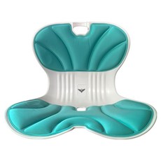 HUNTAI 宏泰 護腰坐墊, 顏色隨機