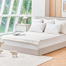 韓國 Roommate 韓國製造可水洗羊毛墊 象牙白 K