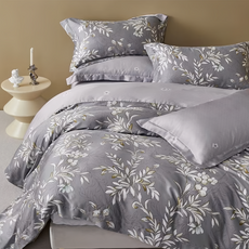 60支100%天絲 床包兩用被4件組