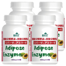 ROYAL SONG 御松田 脂肪分解酵素 + 澱粉分解酵素, 30顆, 500mg, 4罐