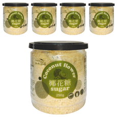 NATURAL RULE 自然法則 椰花糖，低GI，GI值僅35，250g, 5罐