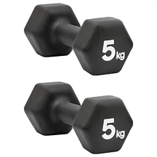 adidas 愛迪達 六角健身啞鈴 2個, 5kg