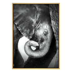 依偎 大象 掛畫, 木色