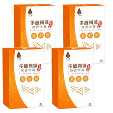 Tsuie 日濢 多醣褐藻接骨木莓膠囊 含紫錐菊萃取物 調整體質 增強體力, 700mg, 30顆, 4盒