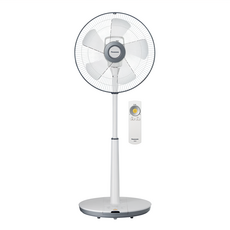 Panasonic 國際牌 DC直流馬達電風扇 可遙控, F-S12DMD