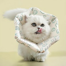 PASTEL PET 寵物圖案波浪頸圈, 1個, 綠色