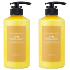 EUNYUL 維他命泡沫潔面乳, 蘊含BHA 葡萄柚 檸檬, 卸妝 清理雜質 補充肌膚水分 提亮膚色, 500ml, 2瓶