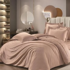 60支 素色 100%天絲兩用被床包組 鋪棉床包兩用被三件組