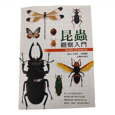 遠流文化 昆蟲觀察入門 Guide of Insects, 平裝書