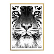 獨行獵者 老虎 白色, 金色框