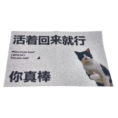 臥室地墊 PVC材質 矩形 絲圈材質 防滑耐磨, D款 活著回來就行 白色, 1個