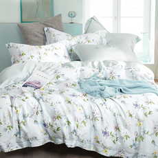 貝淇小舖 天絲涼被 - 100%純天絲 TENCEL 5x6尺涼被-蘇拉, 1入, 195 x 150cm