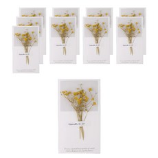 乾燥花卡片, 250g白卡紙, 9*16cm, 黃色, 10張