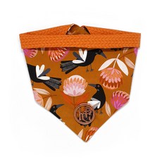 澳洲Happy Go Puppy 寵物領巾 M 狗狗時尚配件 透氣舒適材質, 花語鳥, 1個