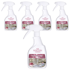 GBPH 好寶貝 玻璃皂垢清潔噴霧 Royal Rose 皇家玫瑰, 快速溶解皂垢水漬, 500ml, 5瓶