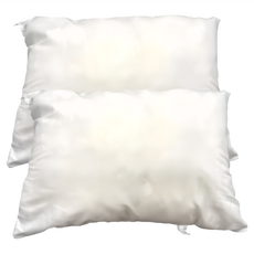J&N 台製 抱枕心, 30 x 45cm, White, 2個