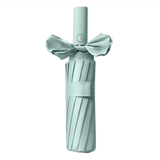 樂邦 12骨自動開收抗風黑膠雨傘, 藍綠色, 一鍵開合, 1支