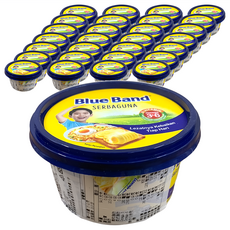 Blue Band 脂肪抹醬 250g, 48盒