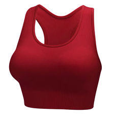 Homegym 歐美高強度挖背運動內衣 XL 經典酒紅