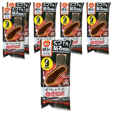 KOBAYASHI 小林製藥 桐灰 腳底式暖暖包, 持久溫暖, 含消臭成分, 6個