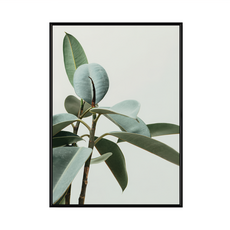 生氣蓬勃 植物藝術畫, 黑色