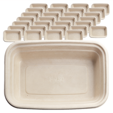 低方單格植纖盒 750ml 230口徑蓋 29號 一次性外帶餐盒, 50個, 6組
