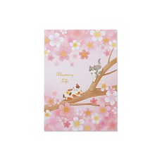 珠友文化 多版面信紙本 A5, 漫櫻貓語, 1本