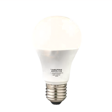 EVERLIGHT 億光 LED 球泡燈，超節能，E27接頭, 黃光, 1個