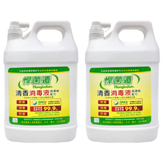 HungindoN 悍菌遁 清香消毒液 殺菌消毒防黴, 3.785L, 2桶