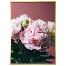 菠蘿選畫所 粉與白 • 牡丹II BFFB4668G (59.4 x 42cm) 畫框 居家裝飾藝術畫, 金色
