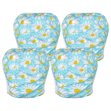 我家寶貝 嬰幼童調節式內褲型泳褲 小雛菊, 0-3歲, 4件