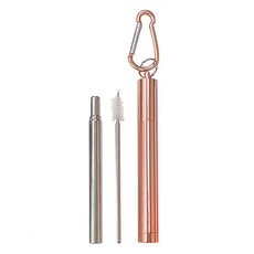 Rico 瑞可 環保不鏽鋼304隨身伸縮吸管組 15 x 3 x 2cm, 1組, 1組