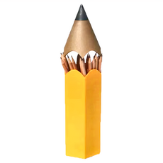 QUALy Dinsor stationery container 鉛筆筆筒 286 x 89 x 78mm, 黃色, 1個