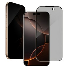 Timo 玻璃螢幕保護貼 附貼膜神器, iPhone 16系列, 滿版防窺, 疏油防汙, 2.5D弧邊, 高清高透光, iPhone 16 Pro, 1個