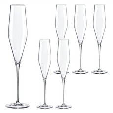 RONA Swan天鵝系列 氣泡酒杯6件組, 190ml, 1組