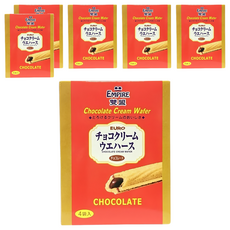 EMPIRE 雙盟 巧克力酥棒, 滑順誘惑, 大人小孩都愛吃, 下午茶的好夥伴, 100g, 6盒