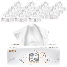 DEEPCLEAN 潔柔淨 雲朵 可濕式衛生紙 5層 100張, 20包, 1袋