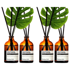 Nard Botanical Aroma 植物香氛擴香瓶(附裝飾龜背芋1入裝), Tea Tree Rosemary, 100ml, 4瓶