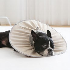 Pet in Beauty 寵物零感頭套 燕麥色 1個 M