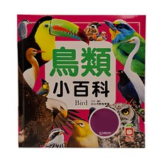 幼福鳥類小百科 1975-10，兒童認知圖鑑，精美圖文並茂，啟發自然科學興趣, 幼福, 1本