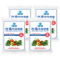 TAIYEN 台塩生技 特級碘鹽, 1kg, 4包