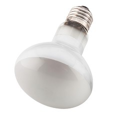 OTTO 建興水族 100W 爬蟲聚熱燈泡，Reptile Basking Spot Lamp，UVA光波，平均使用壽命約3500小時, 日光, 1個