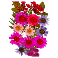 A-ONE 匯旺 真花壓花 花團錦簇 中花包 Set 3, BB09