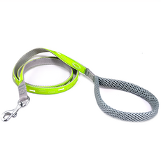 CrazyPAWS 瘋狂爪子 普普風系列 立體圖案寵物牽繩, 綠色, 1條