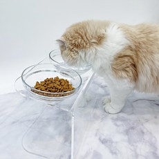 Ringpet 寵物壓克力玻璃碗 雙碗組, 1個, 透明