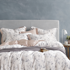 夢之語 60支天絲加大床包兩用被組