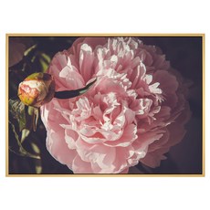 Boluo 菠蘿選畫所 嬌艷牡丹 掛畫 59.4 x 42cm 木色