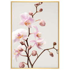 菠蘿選畫所 沉醉清香蘭花畫 附框 優雅居家裝飾, 30 x 40cm, 木色