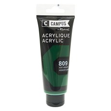 Raphael CAMPUS 康普思 壓克力顏料 N131741 809 霍克綠, 100ml, 1色