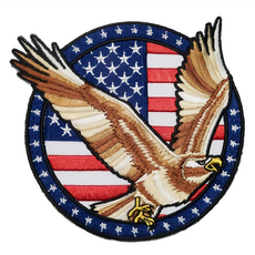 A-ONE 匯旺 美國老鷹向右地標造型刺繡 NO.156 尺寸12x12公分 台灣製, 彩色, 1個